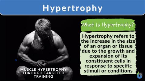 how to say hypertrophy|hypertrophic definition.
